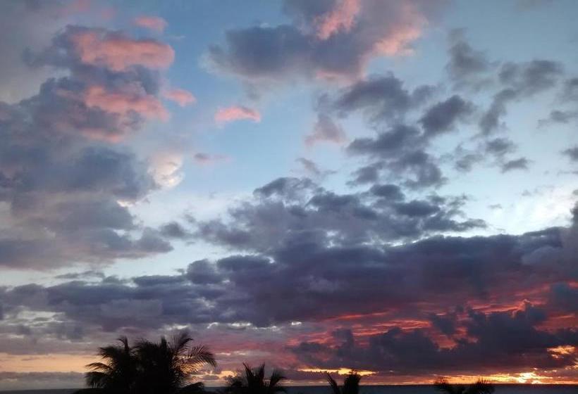 فندق Papaya Surf