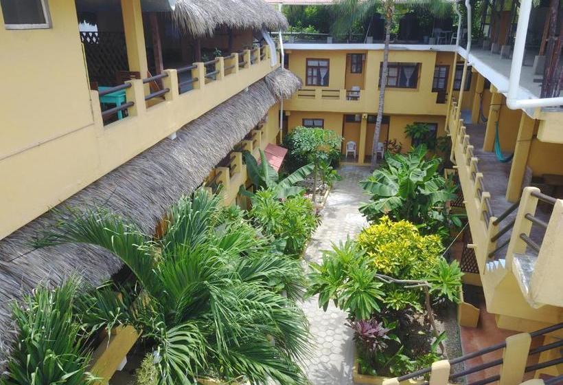 فندق Papaya Surf