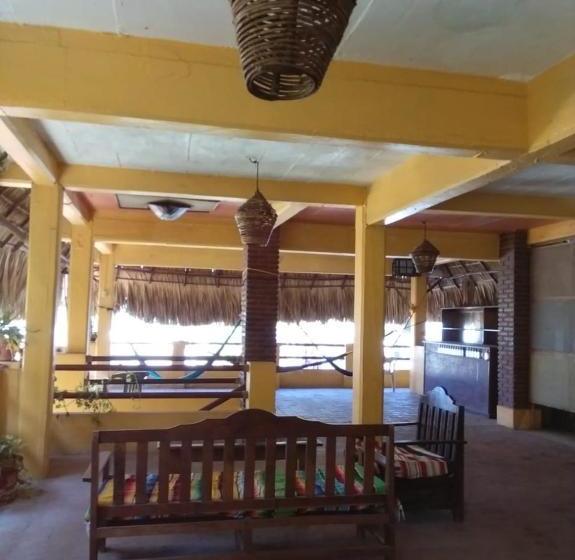 فندق Papaya Surf