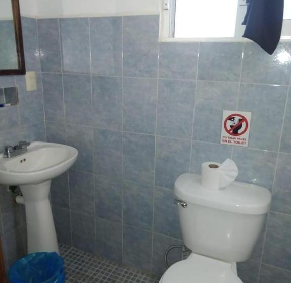 فندق Papaya Surf