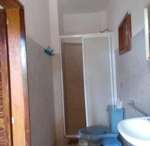 فندق Papaya Surf