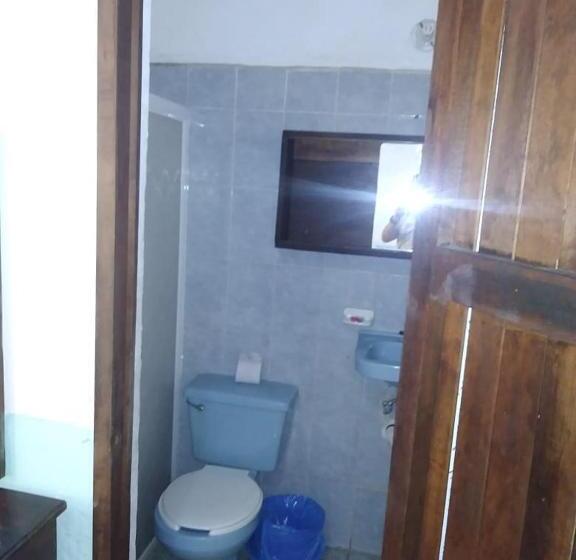 فندق Papaya Surf