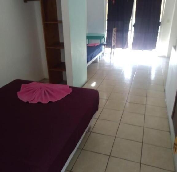 فندق Papaya Surf