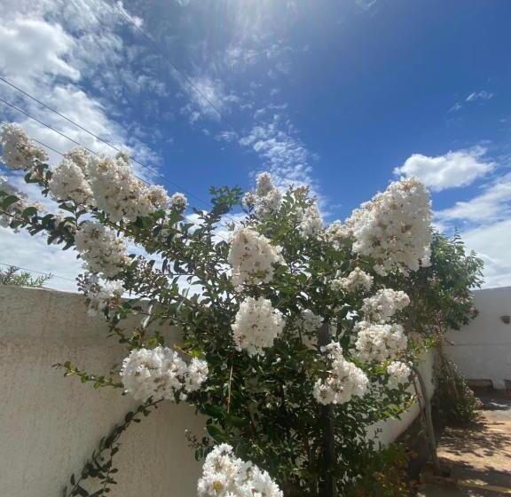 ホテル Queiroz Palace