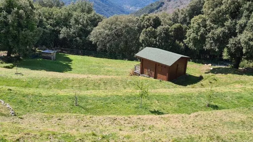 ペンション Casa Sarrinca