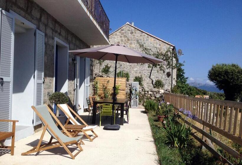 بنسيون Casa Sarrinca