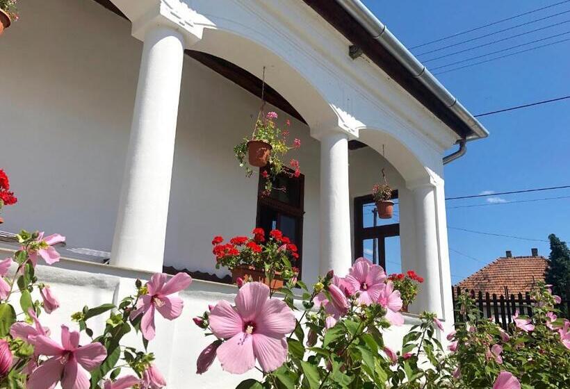 פנסיון Heni Vendégháza