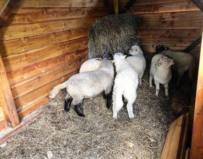 פנסיון Penzion šléglov