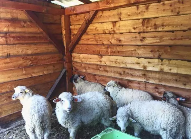 Majatalo Penzion šléglov