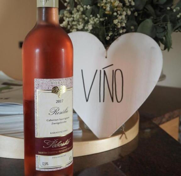 פנסיון Penzion šléglov