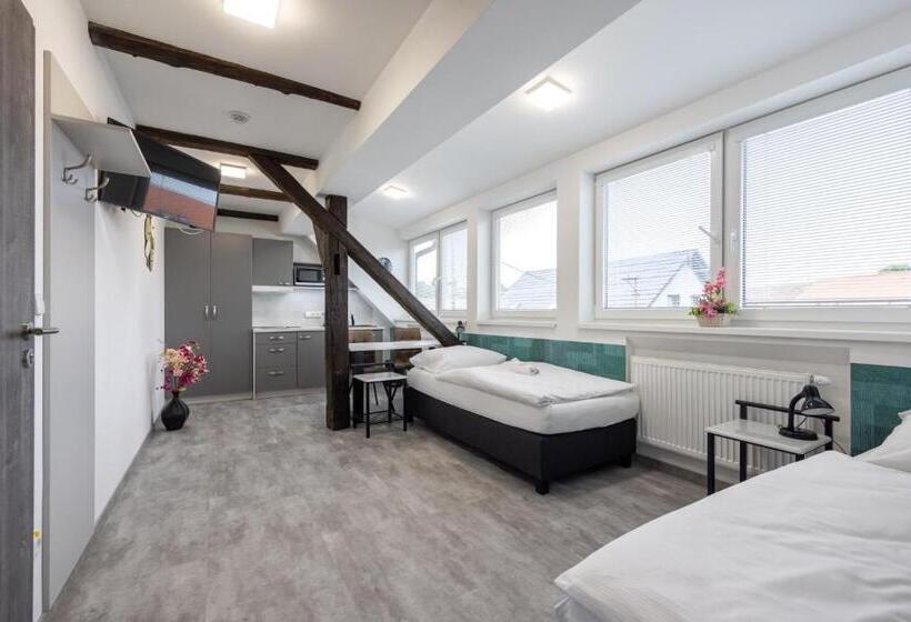 פנסיון Penzion Rozhovice