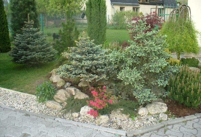 Пансион Villa Hawaii