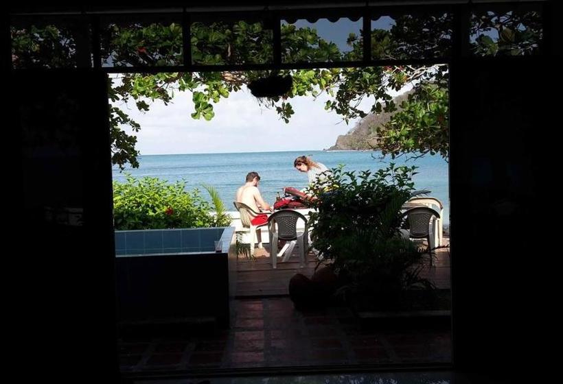 הוסטל Hostal Hilltop Sapzurro