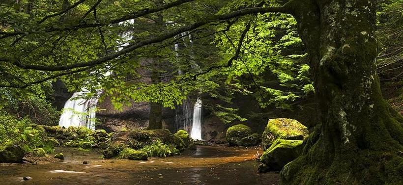 مبيت وإفطار Château De Sédaiges