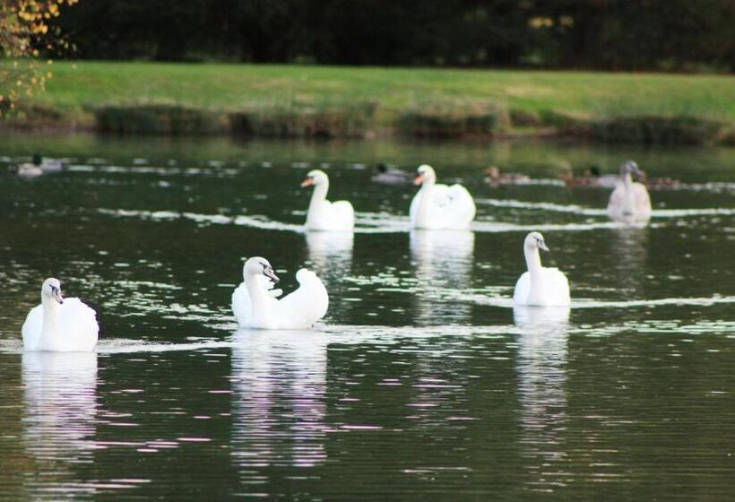 צימר Domaine De La Guignardière
