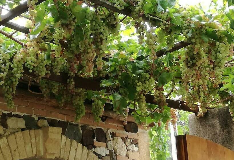 酒店 Agriturismo Il Melograno