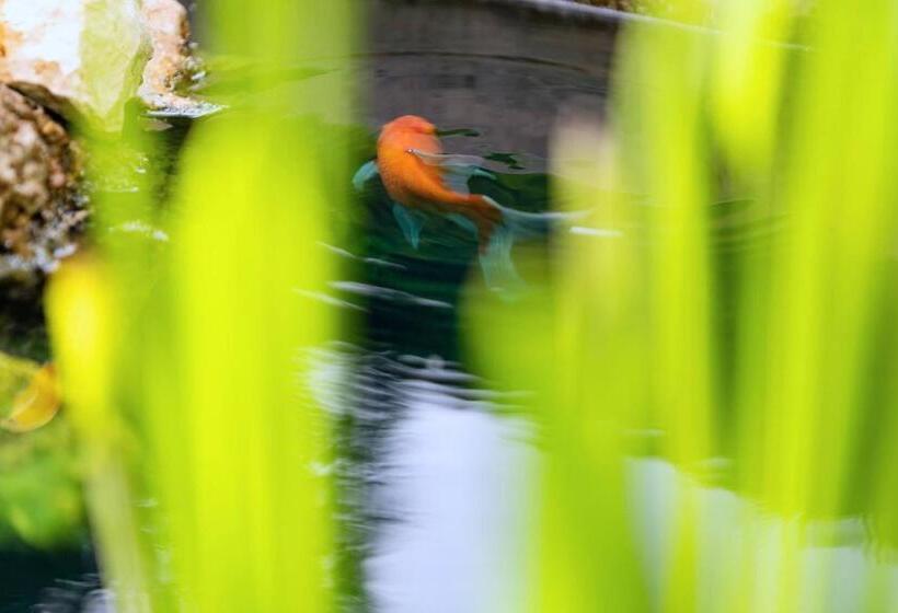 Отель De La Plage