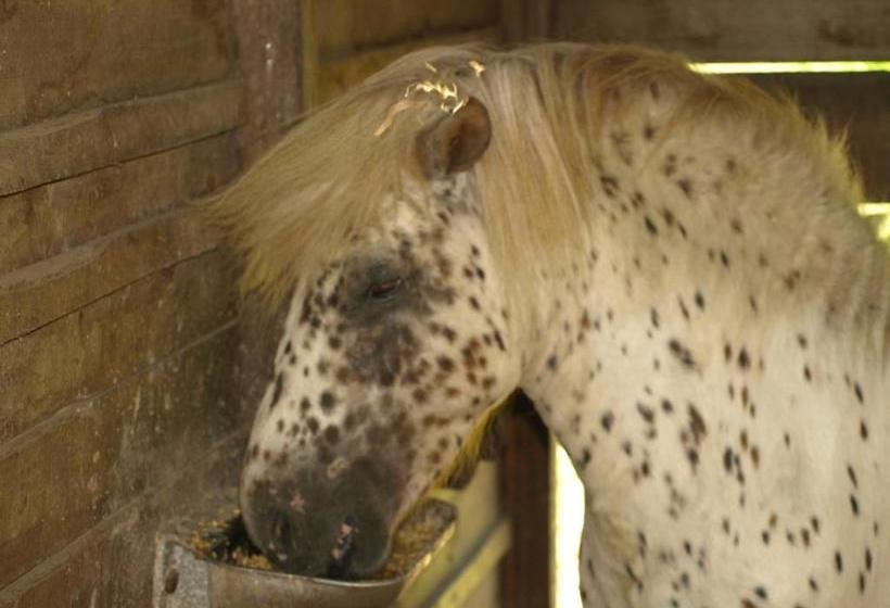 Пансион Hostal Rural Onbordi