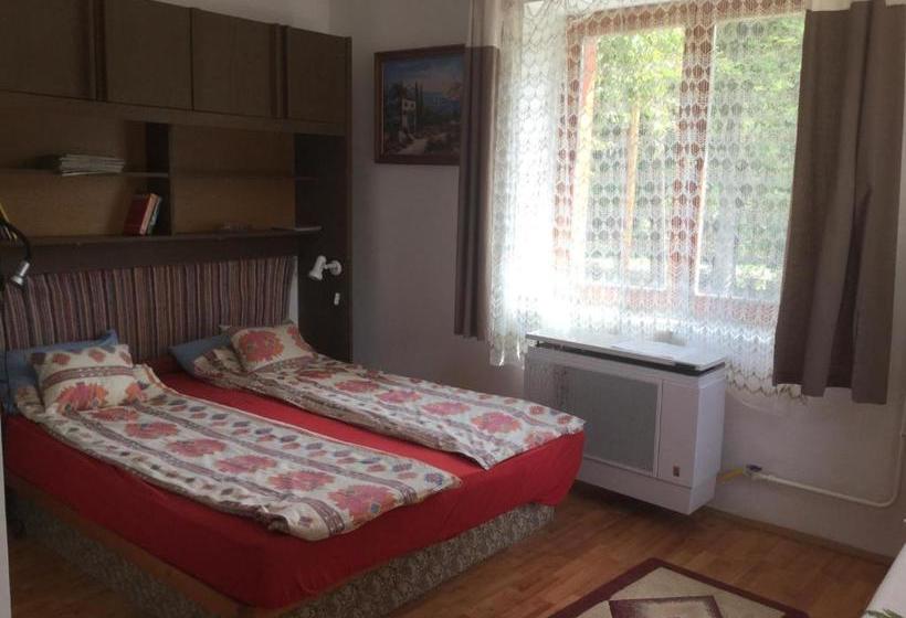 ペンション Rebeka Vendégház