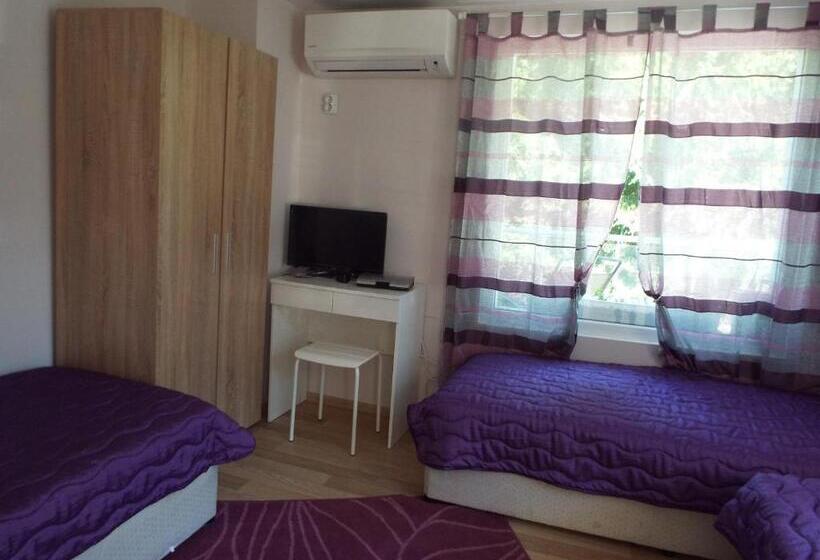 פנסיון The Illuminating House