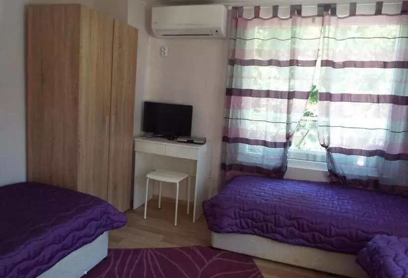 ペンション The Illuminating House