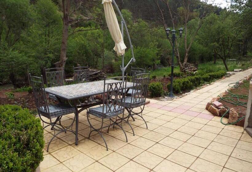 פנסיון The Illuminating House