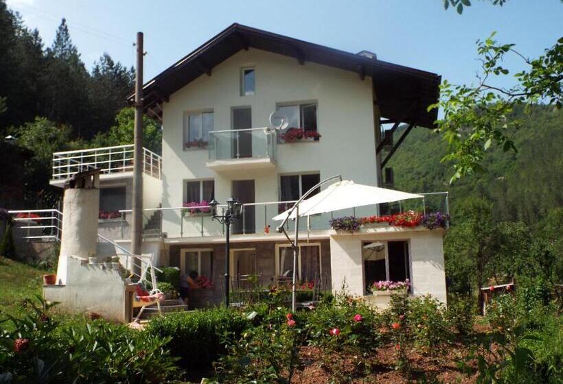 פנסיון The Illuminating House