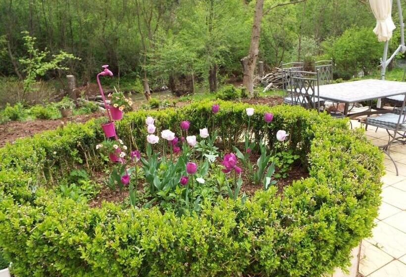 פנסיון The Illuminating House