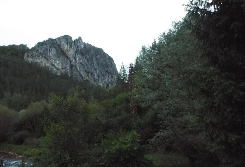 פנסיון The Illuminating House