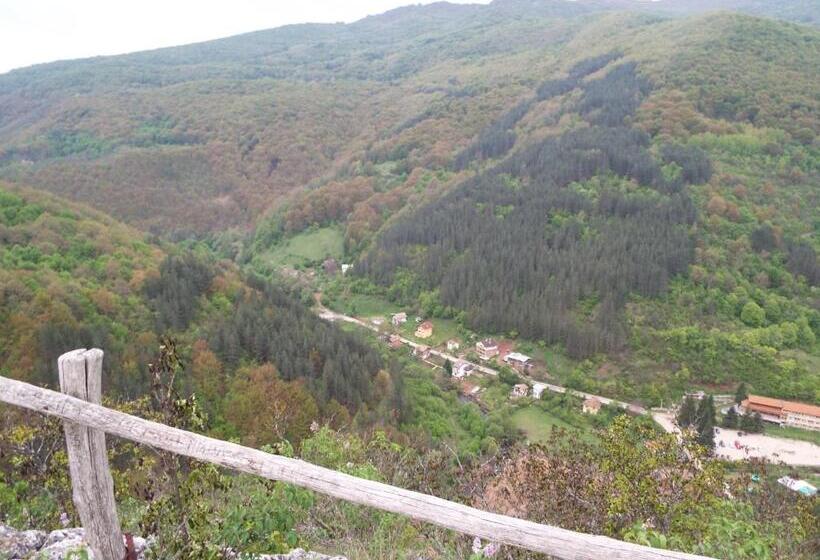 פנסיון The Illuminating House