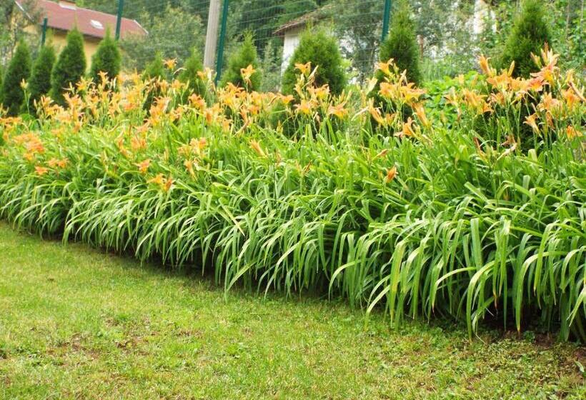 פנסיון The Illuminating House