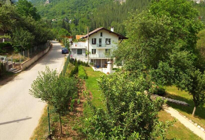 פנסיון The Illuminating House