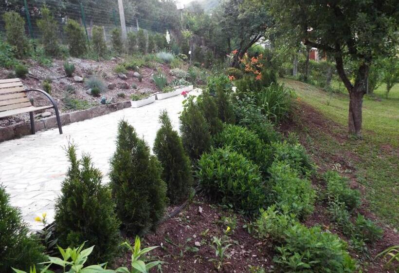 פנסיון The Illuminating House