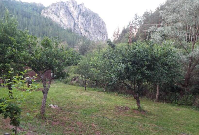 פנסיון The Illuminating House