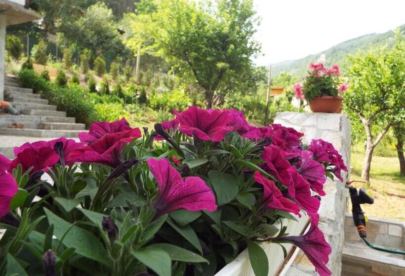 פנסיון The Illuminating House