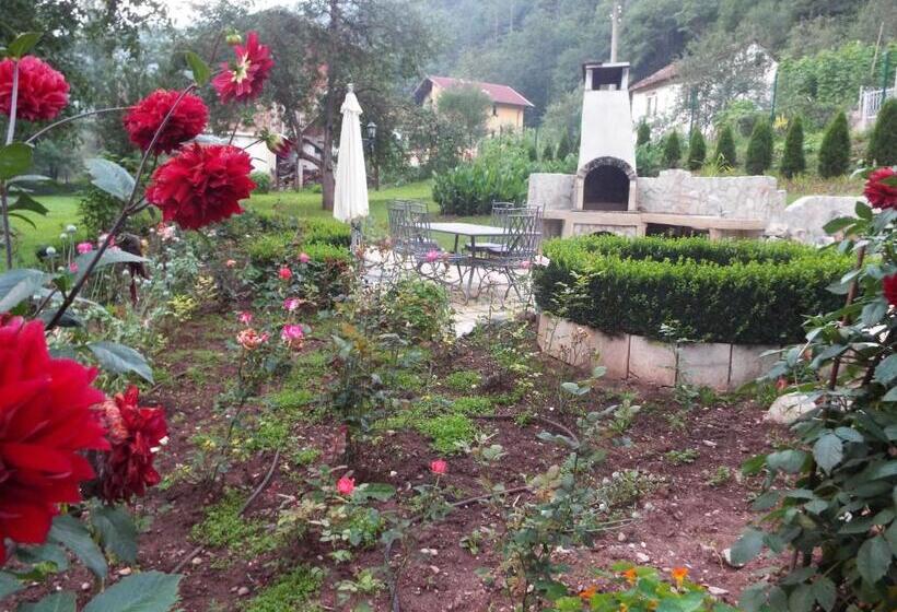 פנסיון The Illuminating House