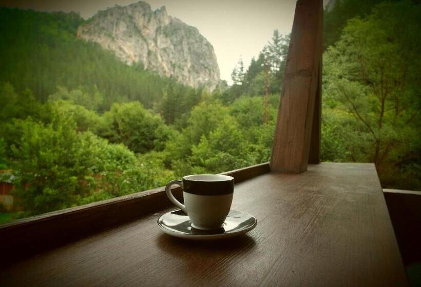 פנסיון The Illuminating House