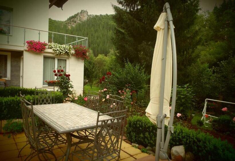 פנסיון The Illuminating House