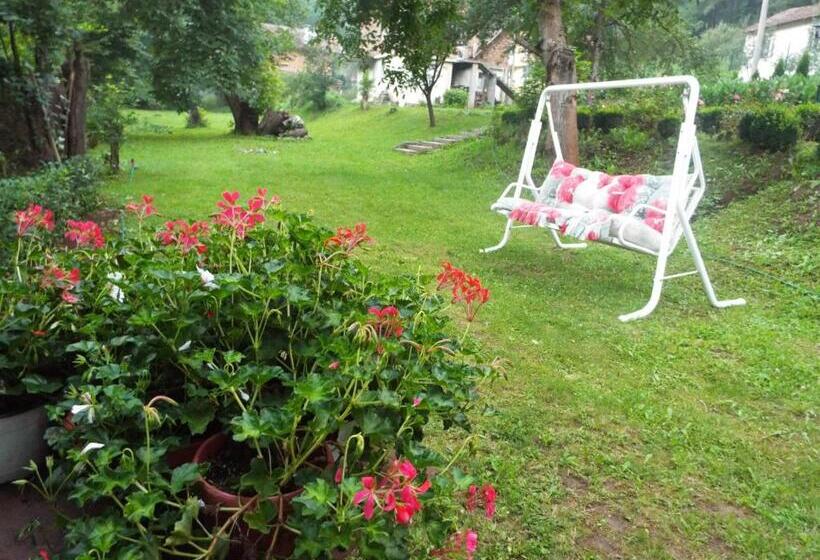 פנסיון The Illuminating House