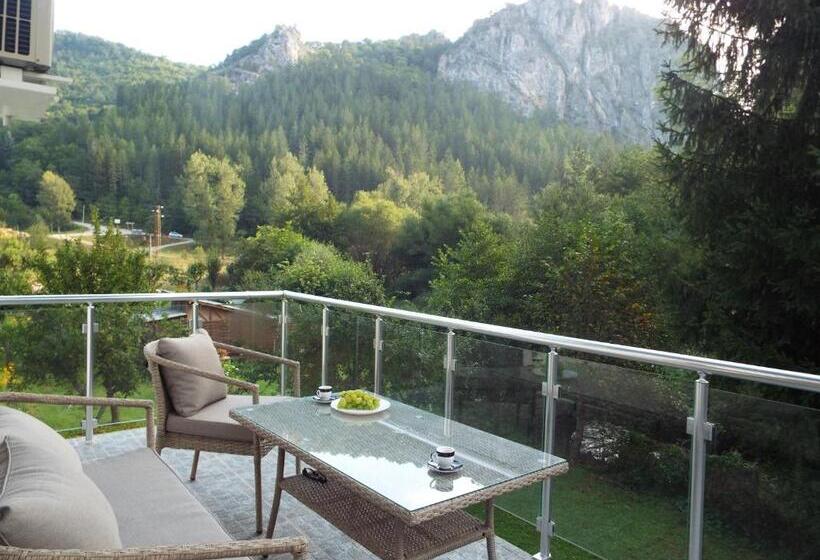 פנסיון The Illuminating House