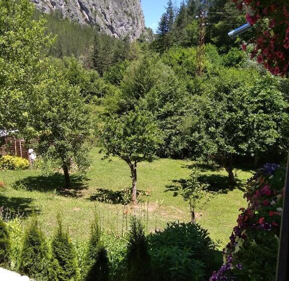 פנסיון The Illuminating House