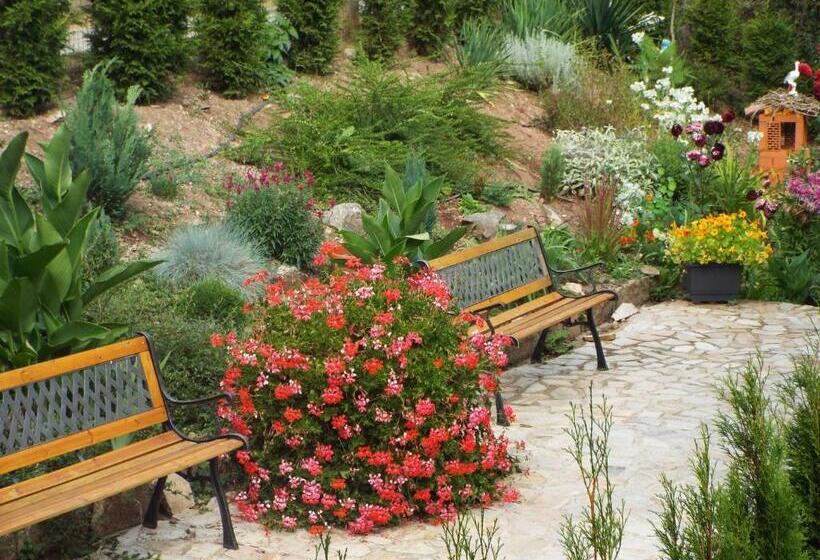 פנסיון The Illuminating House