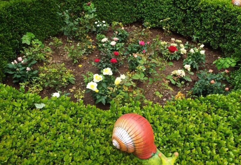 פנסיון The Illuminating House