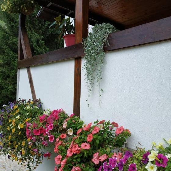 פנסיון The Illuminating House