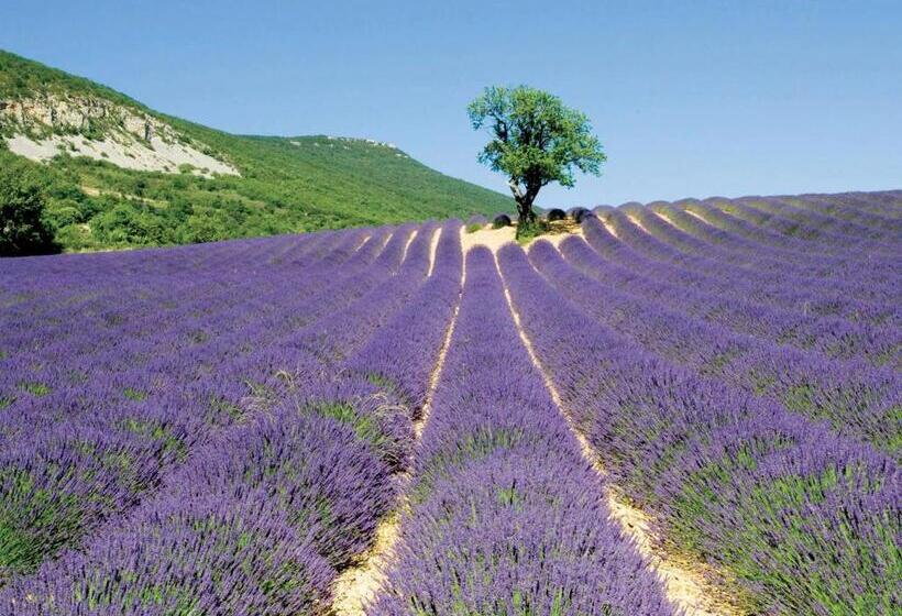 אתר נופש Village Club Les Lavandes   Neaclub