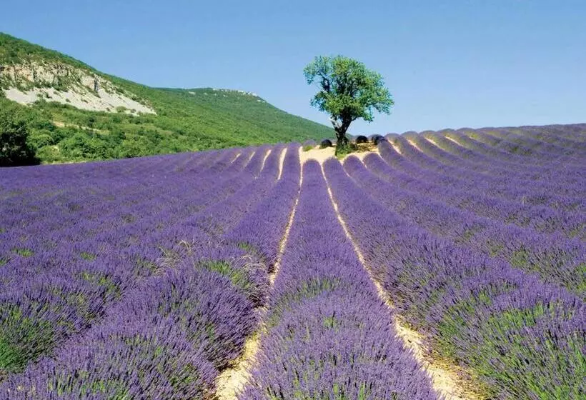 リゾートホテル Village Club Les Lavandes   Neaclub