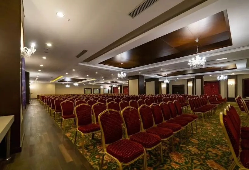 Amelia Beach Resort Hotel & Spa