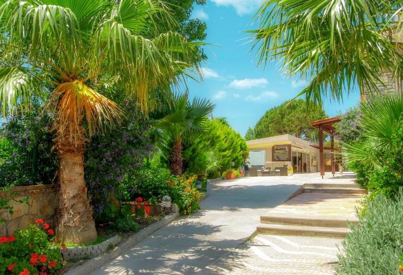 ホテル Bodrum Sofabed