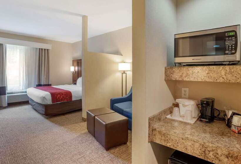 בית מלון כפרי Comfort Suites Fredericksburg North