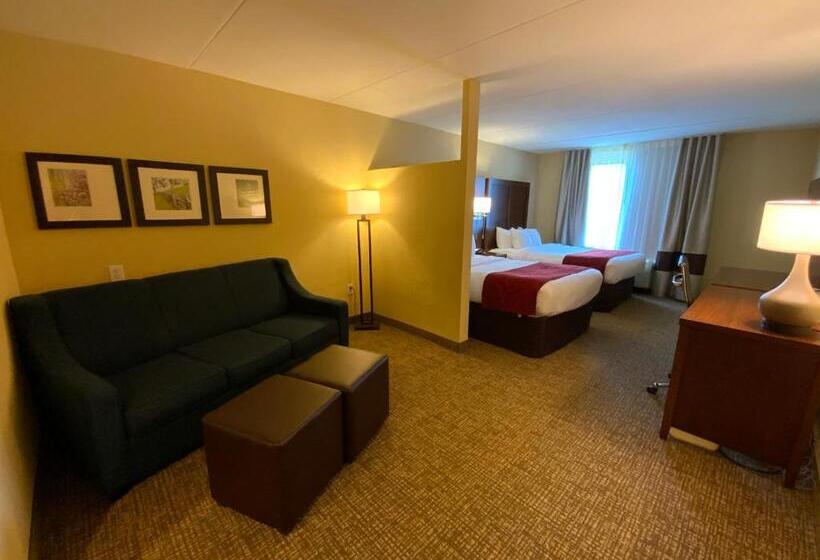 בית מלון כפרי Comfort Suites Fredericksburg North